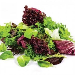 Akdeniz Karışık Salata