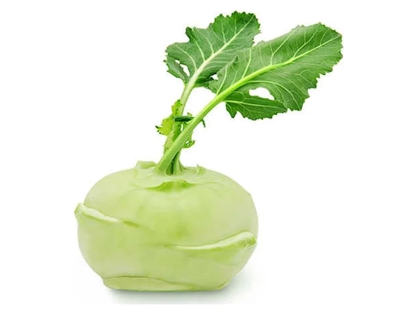 Alabaş Turp