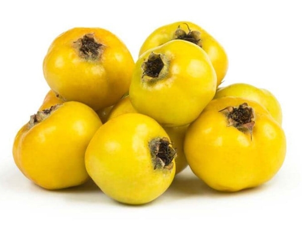 Alıç