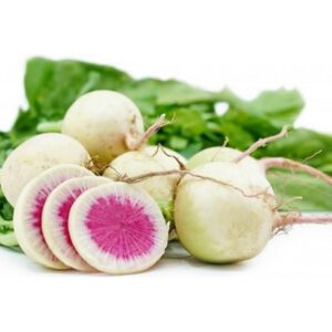 Arjantin Turp