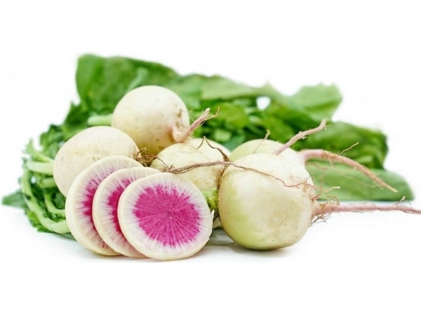 Arjantin Turp