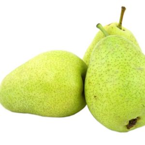 Armut Santamaria