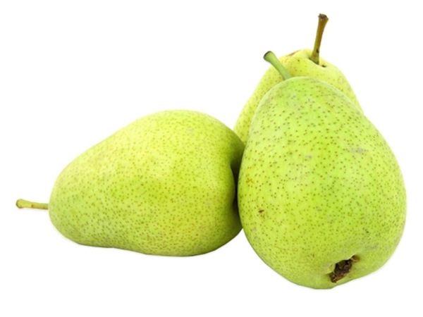Armut Santamaria