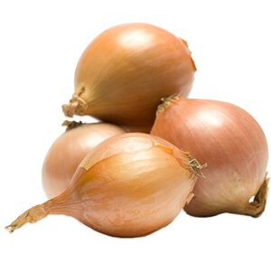 Arpacık Soğan