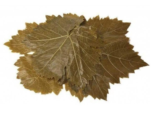 Asya Yaprağı