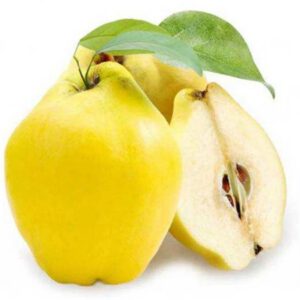 Ayva
