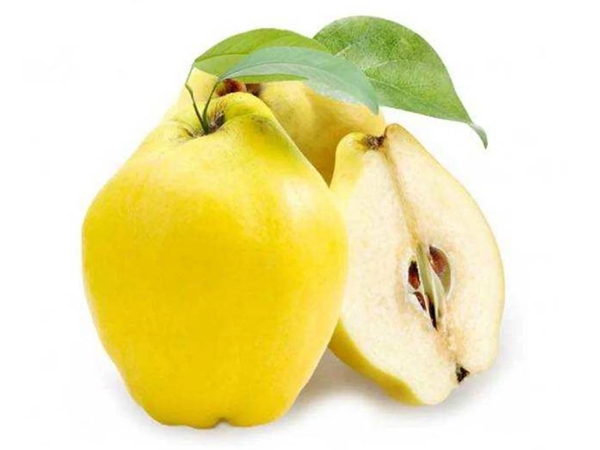 Ayva