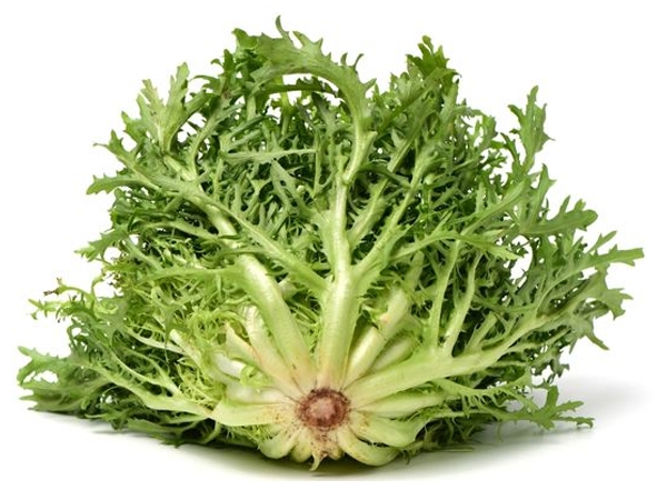 Endivyen Akdeniz Salata