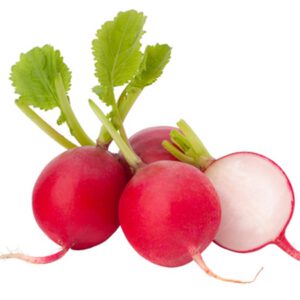 Fındık Turp