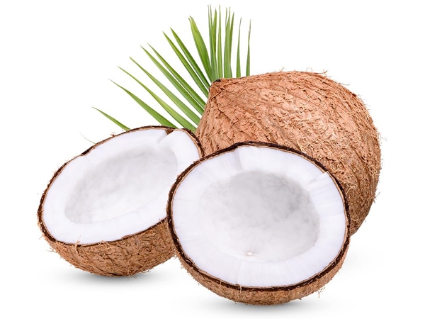 Hindistan Cevisi