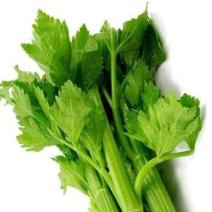 Kereviz Yaprağı