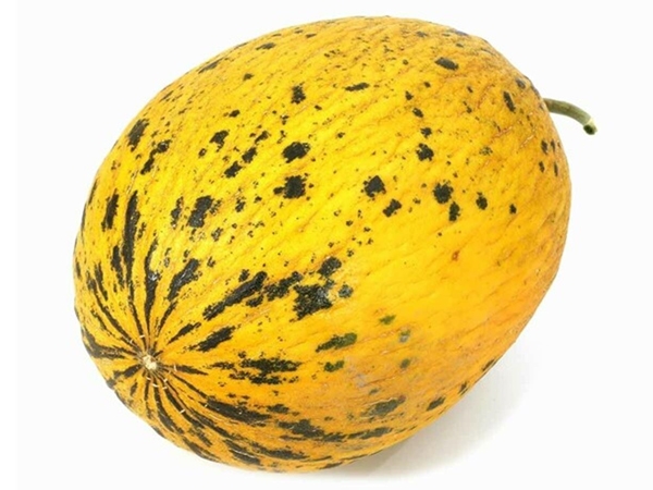 Kırkağaç Kavun