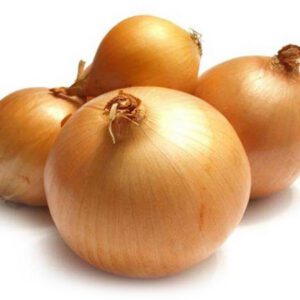 Kuru Soğan