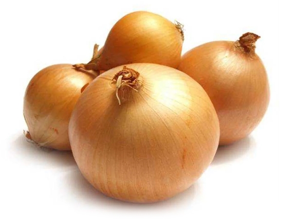 Kuru Soğan