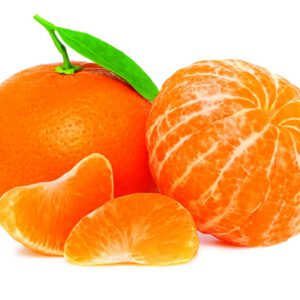 Mandalina