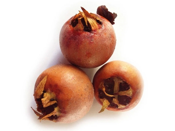 Muşmula
