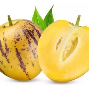 Pepino