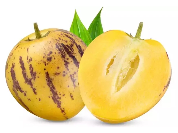 Pepino