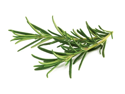 Rosemary Baharat