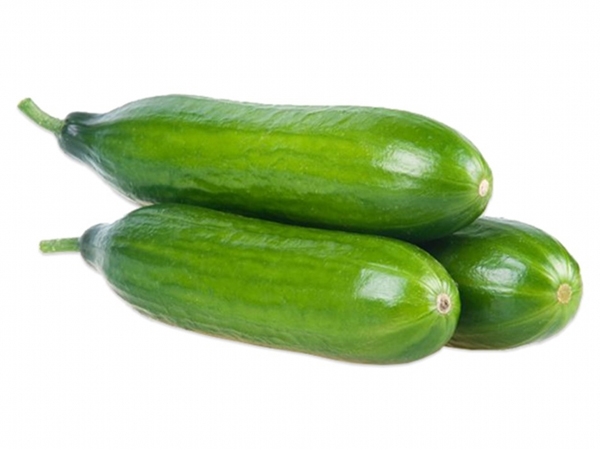 Salatalık Silor