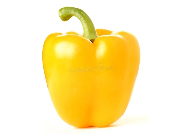 Sarı Dolmalık Biber