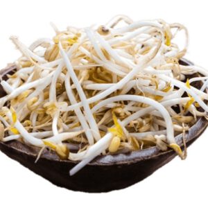 Soya Filizi