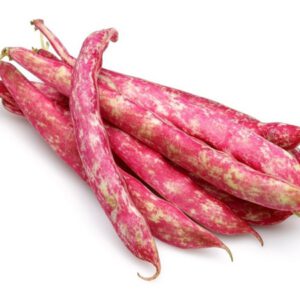 Taze Barbunya