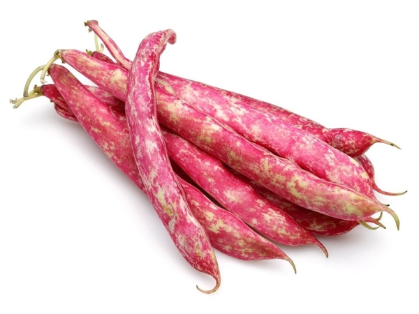 Taze Barbunya